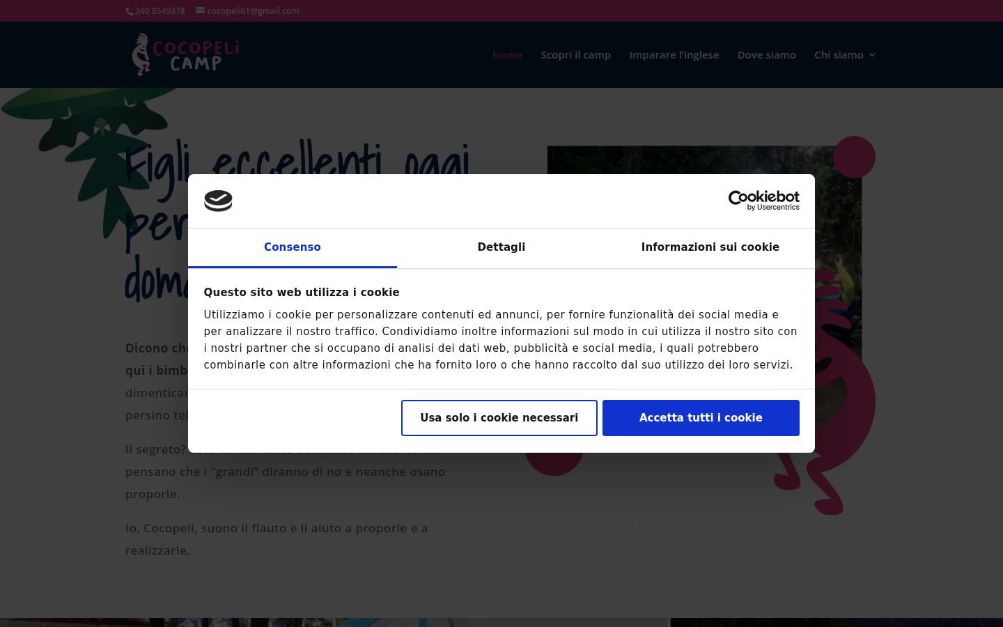 Skærmbillede af samtykkebanneret, som det blev vist før nogen interaktion