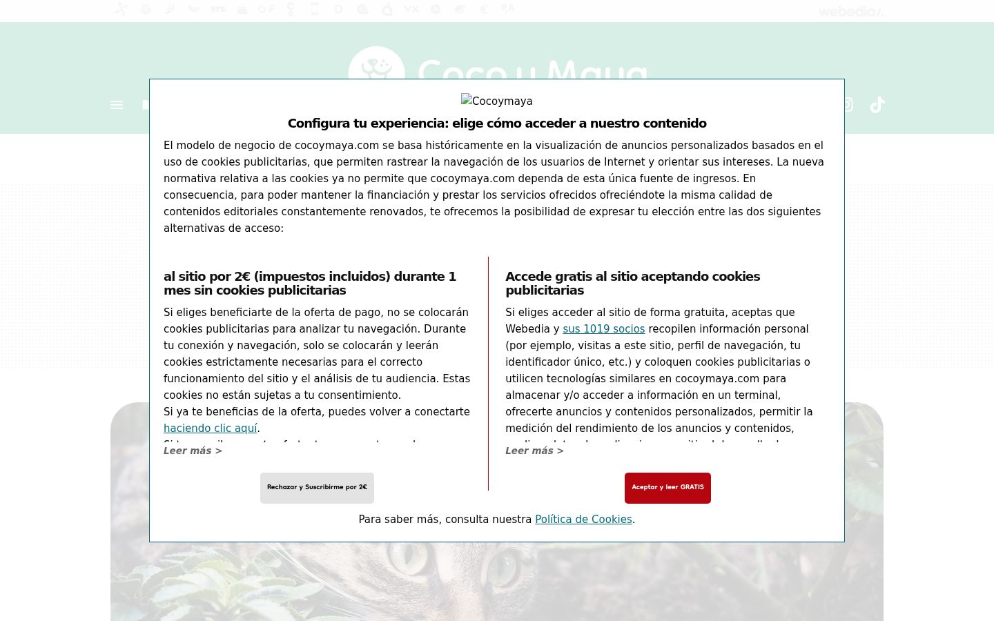 Captura de pantalla del banner de consentimiento mostrado antes de cualquier interacción