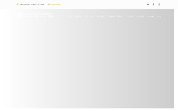Screenshot of coddigi.com