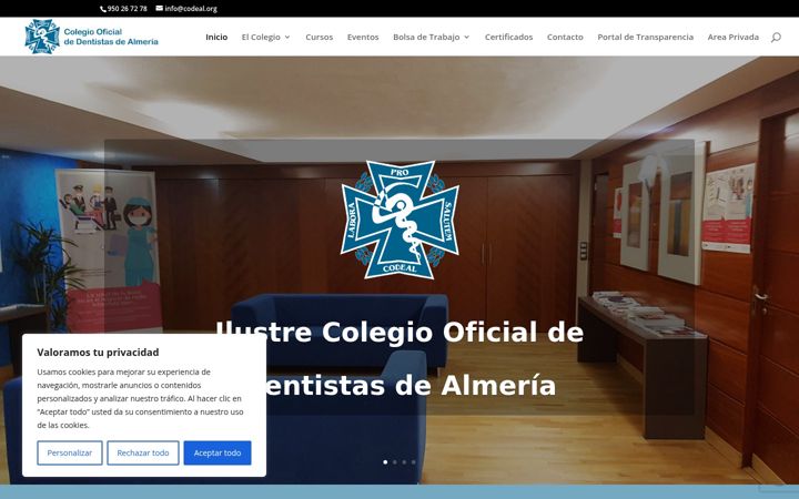 Screenshot of codeal.org