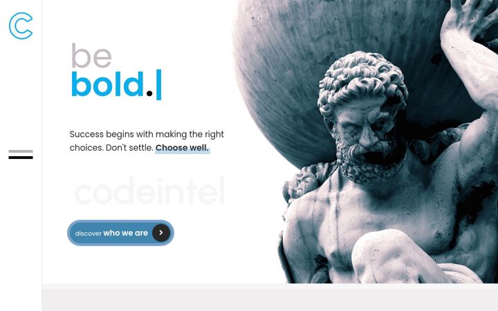 Snímek obrazovky codeintel.com