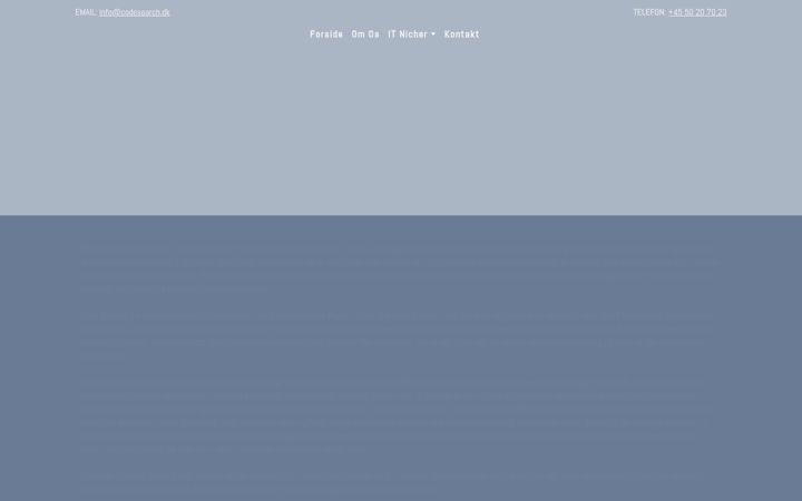 Screenshot of codesearch.dk