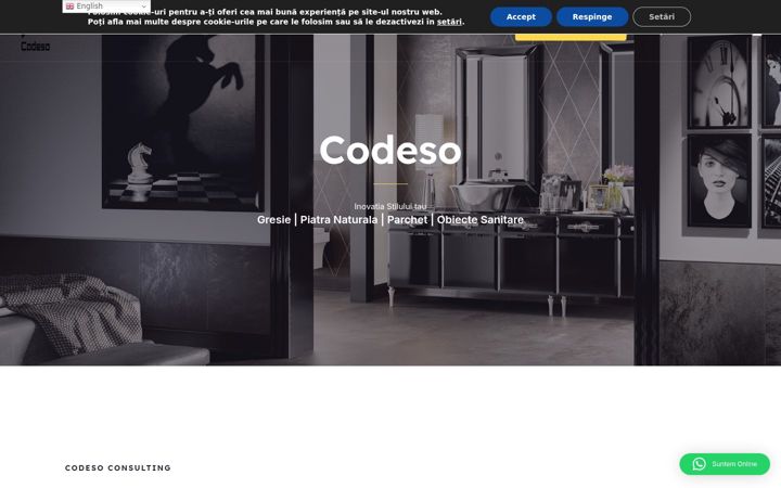 Screenshot of codeso.ro