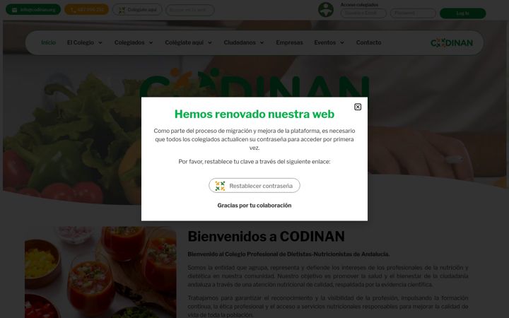 Screenshot of codinan.org