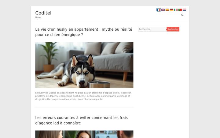 Screenshot of coditel.net