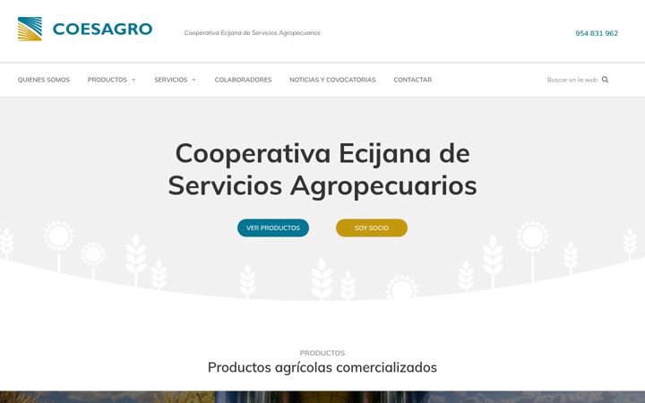 Screenshot of coesagro.com