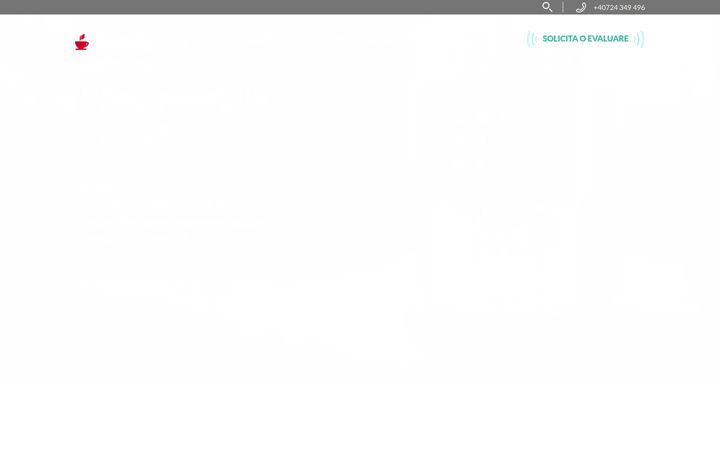 Screenshot van coffeeco.ro