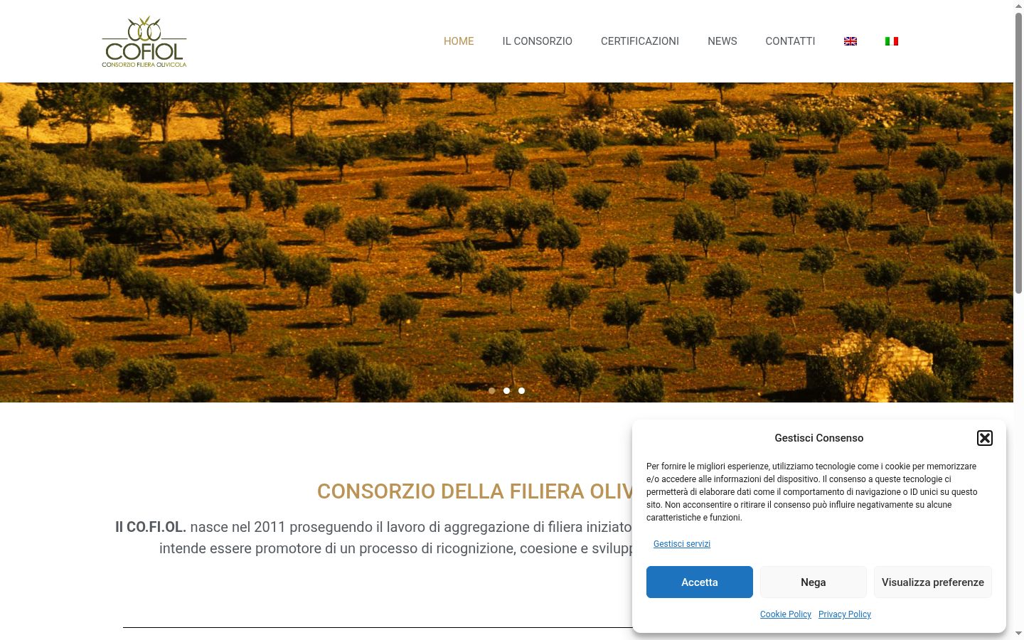 Screenshot del banner di consenso mostrato prima di qualsiasi interazione