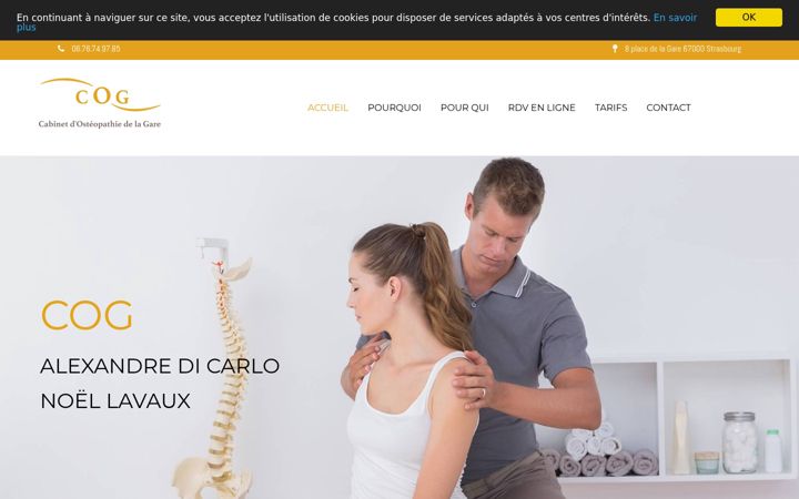 Screenshot of cog-strasbourg.com