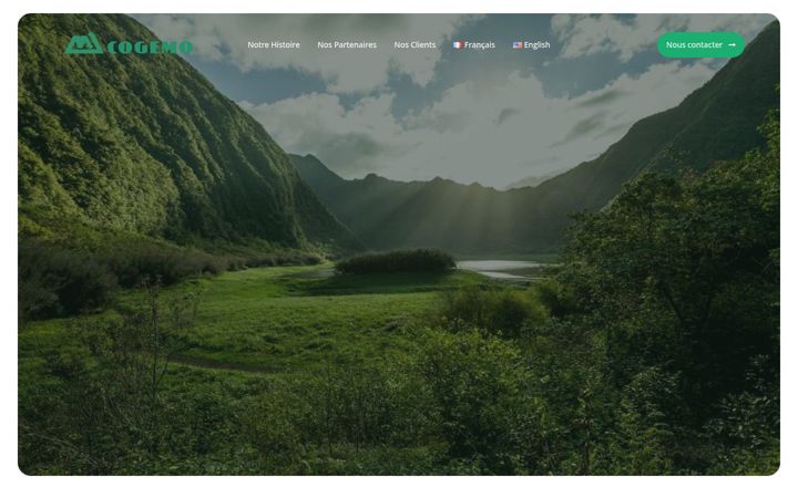 Screenshot of cogemo.fr