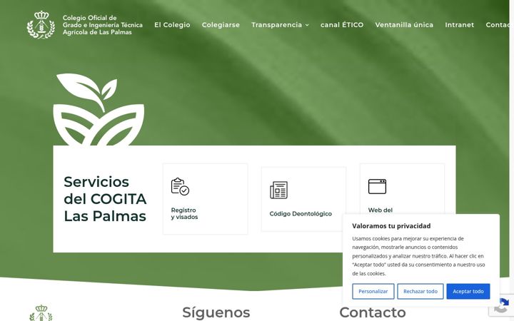 Screenshot of cogitalaspalmas.com