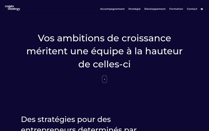 Zrzut ekranu cogitostrategy.fr