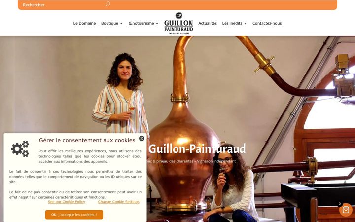 Zrzut ekranu cognac-guillon-painturaud.fr