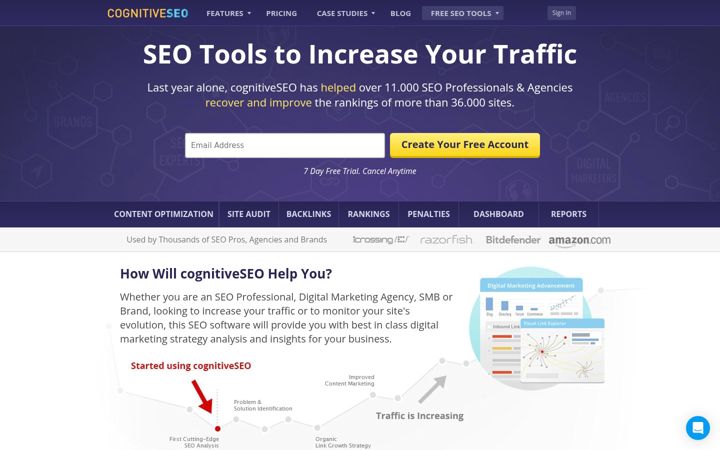 Screenshot of cognitiveseo.com