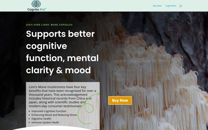 Screenshot of cognitopro.com