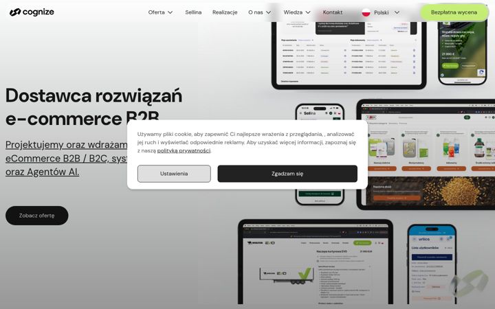 Zrzut ekranu cognize.pl