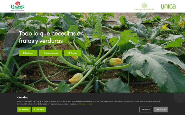 Screenshot di cohorsan.es