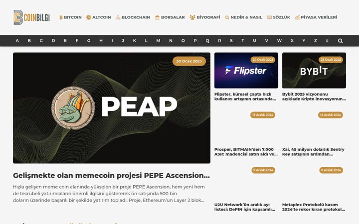 Screenshot of coinbilgi.net