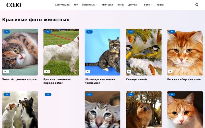 Screenshot of cojo.ru