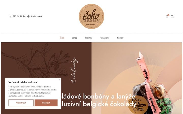 Екранна снимка на cokolasky.cz