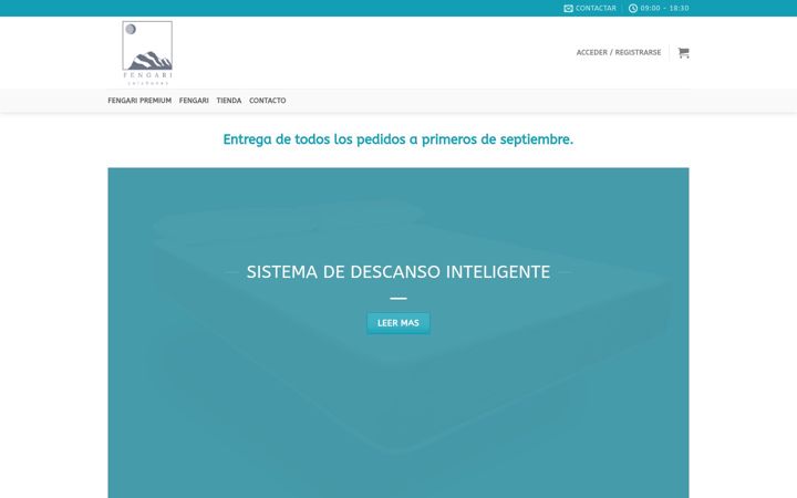 Screenshot of colchonfengari.com