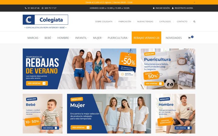 Screenshot of colegiata.es