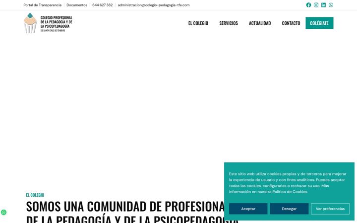Screenshot of colegio-pedagogia-tfe.com