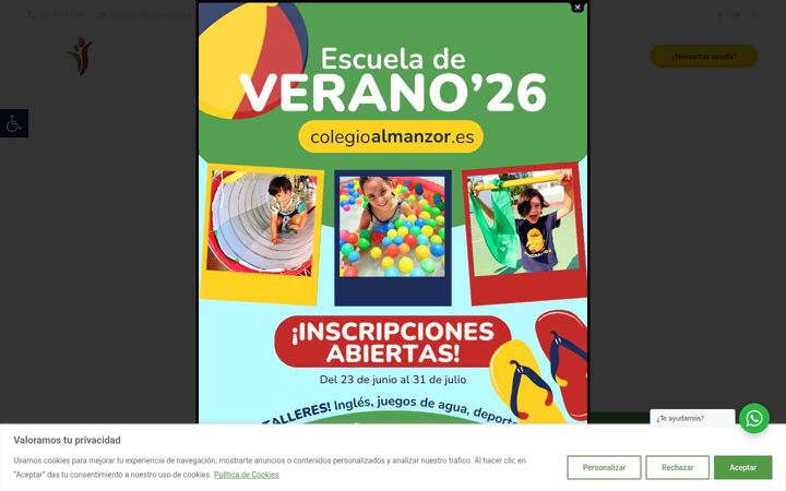 Screenshot of colegioalmanzorcordoba.es