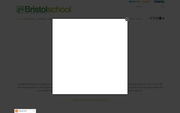 Screenshot of colegiobristol.es
