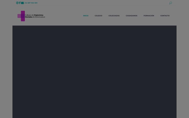 Screenshot of colegiohigienistasextremadura.com