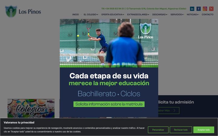 Screenshot of colegiolospinos.eu