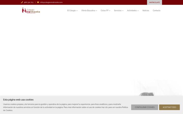 Screenshot of colegiomiralmonte.es