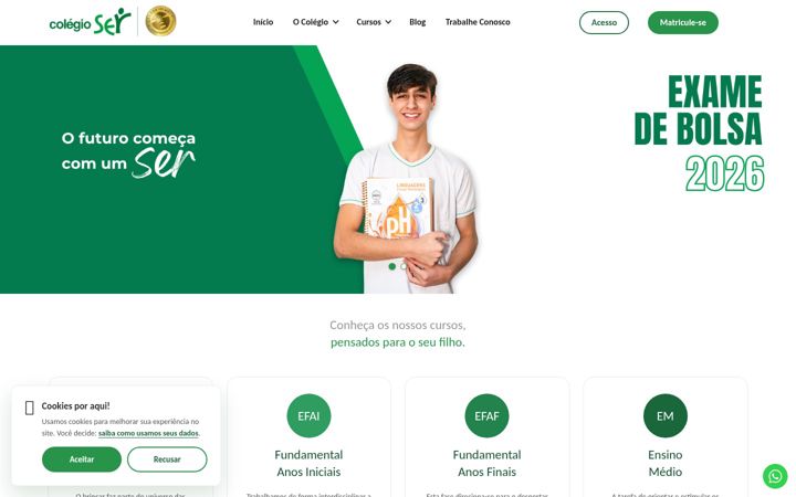Screenshot of colegioser.com