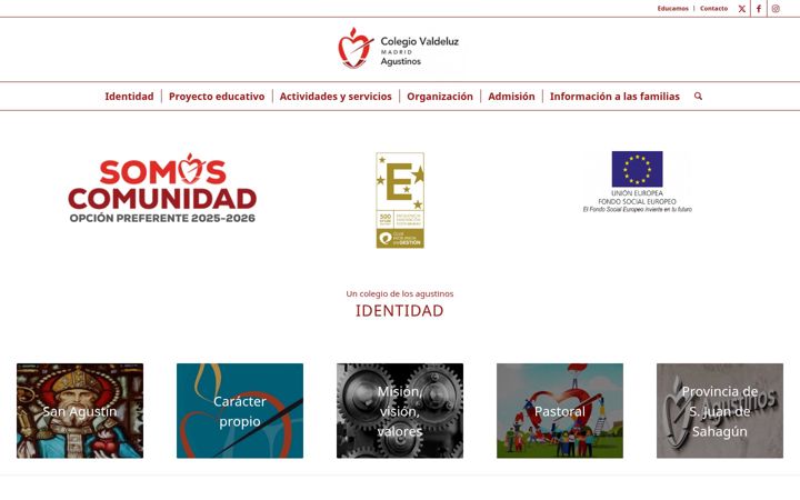 Screenshot of colegiovaldeluz.es