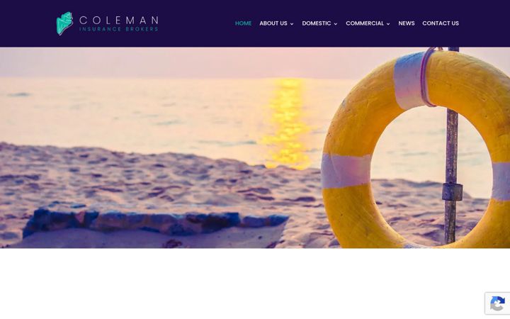 Skärmbild av colemaninsurance.co.za