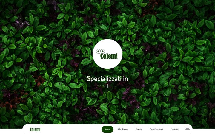 colemisrl.com