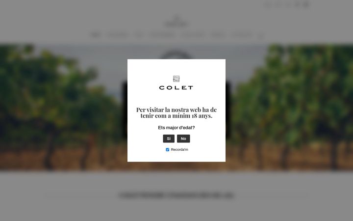 Screenshot of colet.cat