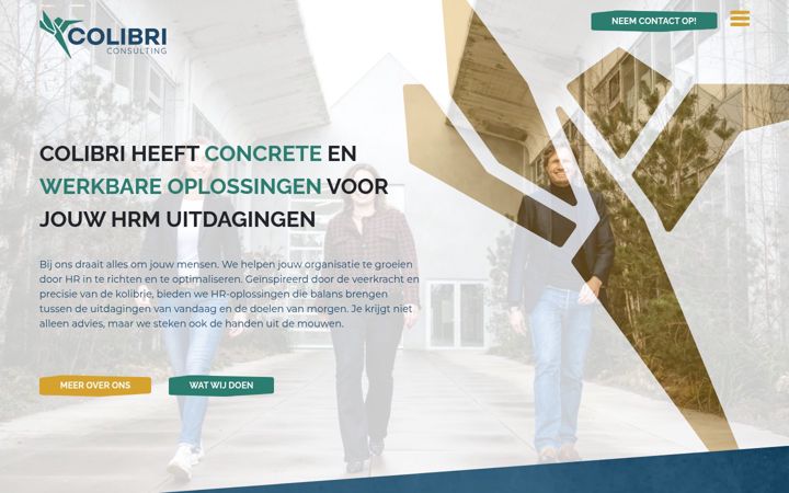 Screenshot of colibriconsulting.nl