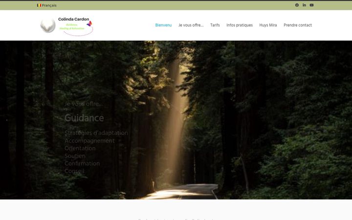 Screenshot of colindacardon.be