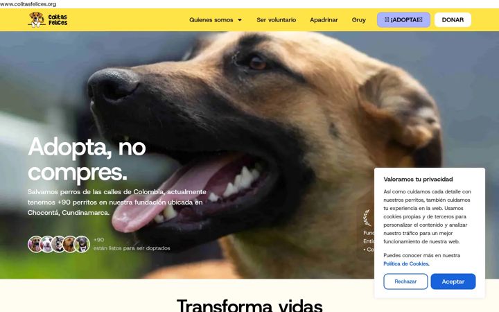 Screenshot of colitasfelices.org