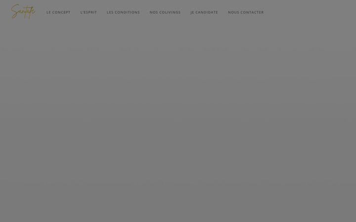 Screenshot of coliving.net
