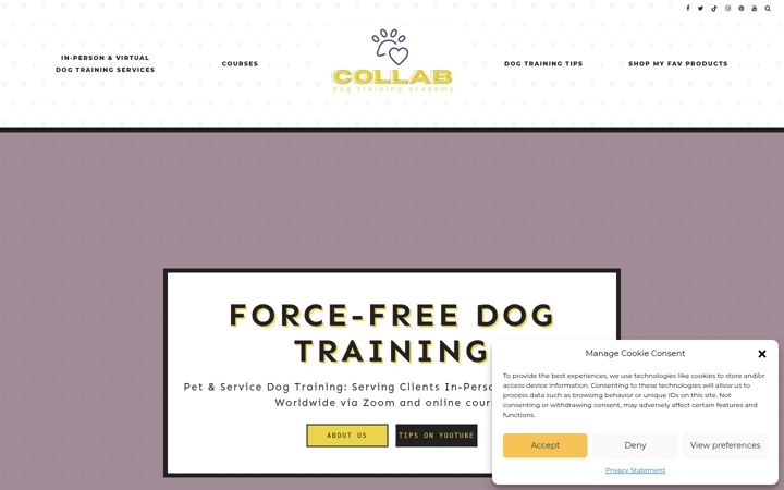 Screenshot of collabdogtraining.com