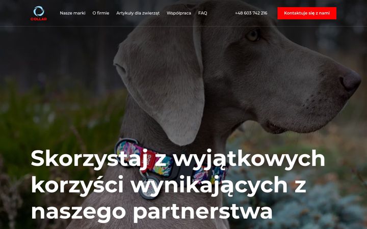 Screenshot of collar.pl