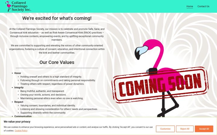 Zrzut ekranu collaredflamingo.org