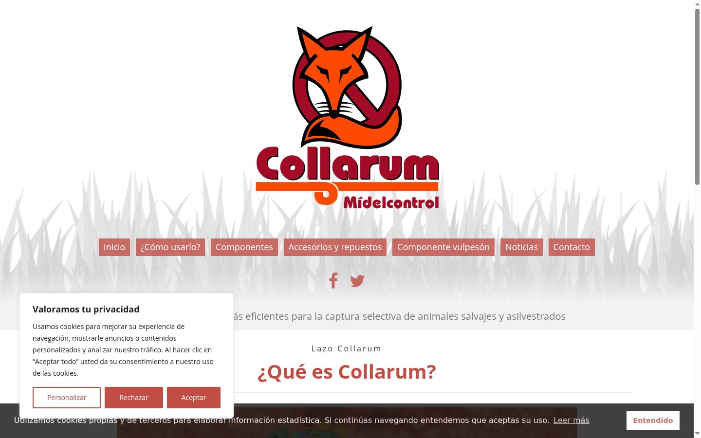 Captura de ecrã do banner de consentimento apresentado antes de qualquer interação