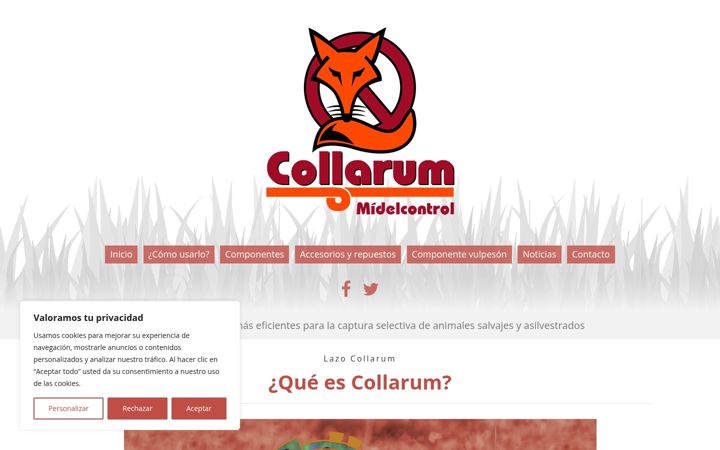 Screenshot of collarum.es
