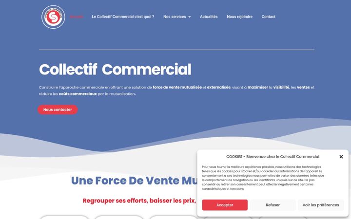 Screenshot of collectifcommercial.fr