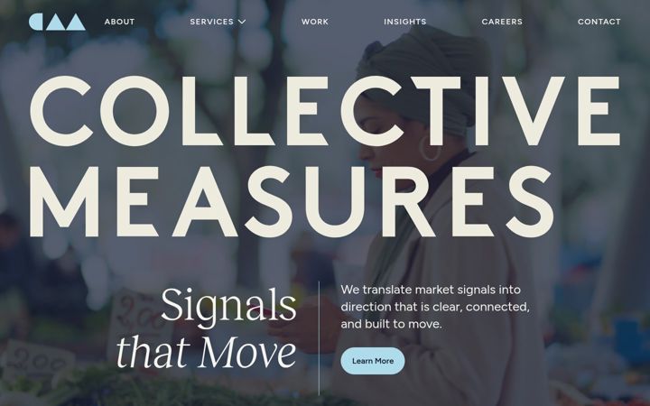 Screenshot of collectivemeasures.com