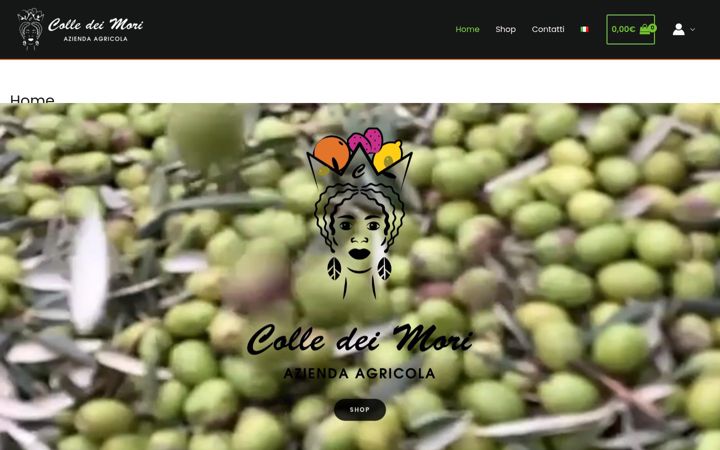 Screenshot of colledeimori.com