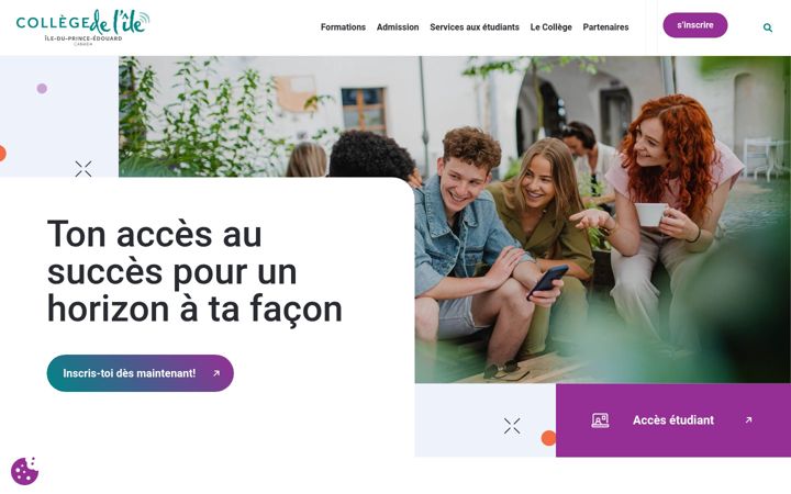 Screenshot of collegedelile.ca